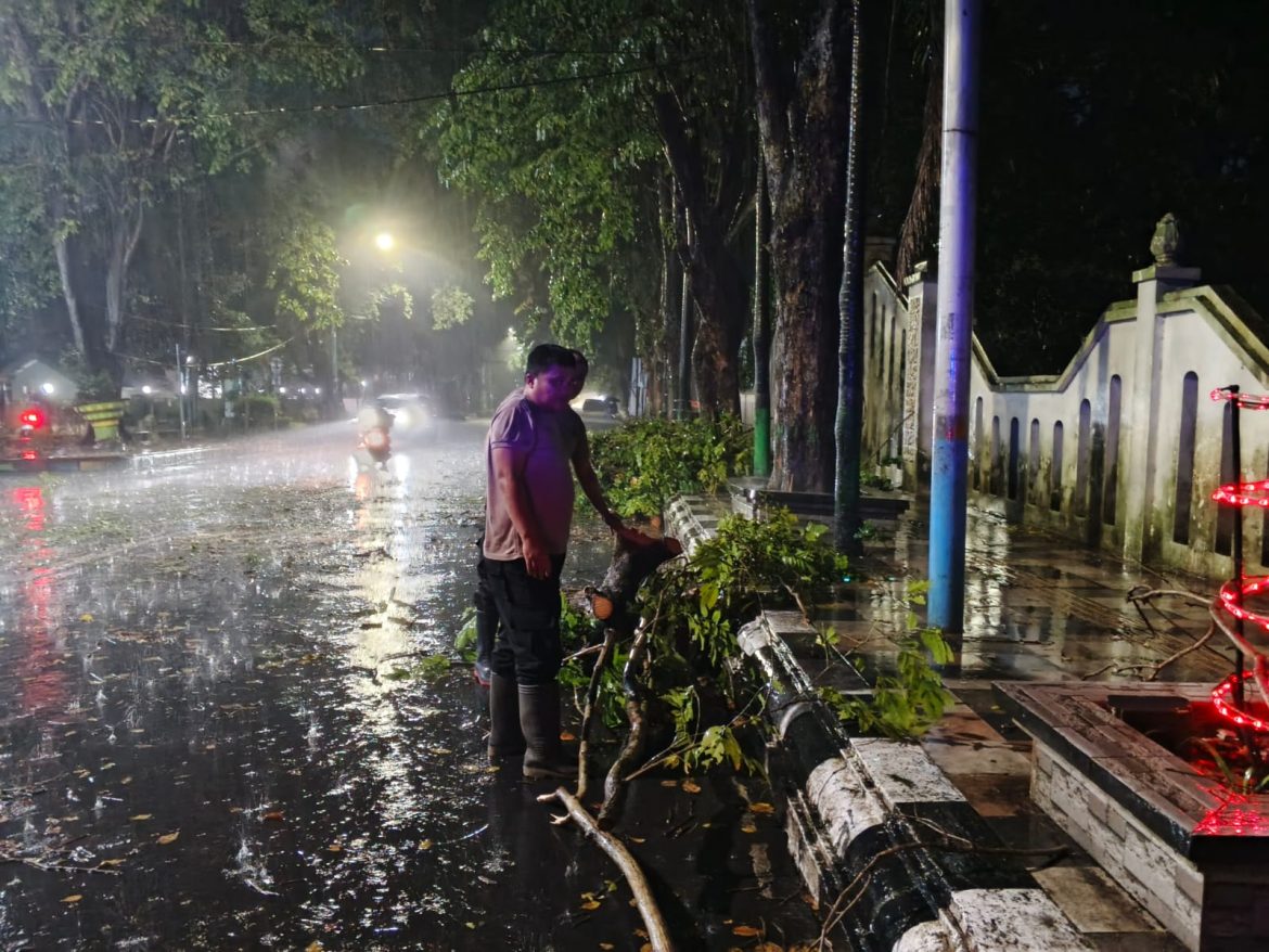 Polisi Lakukan Penanganan Cepat dan Terkoordinasi dalam Insiden Pohon Tumbang di Pati