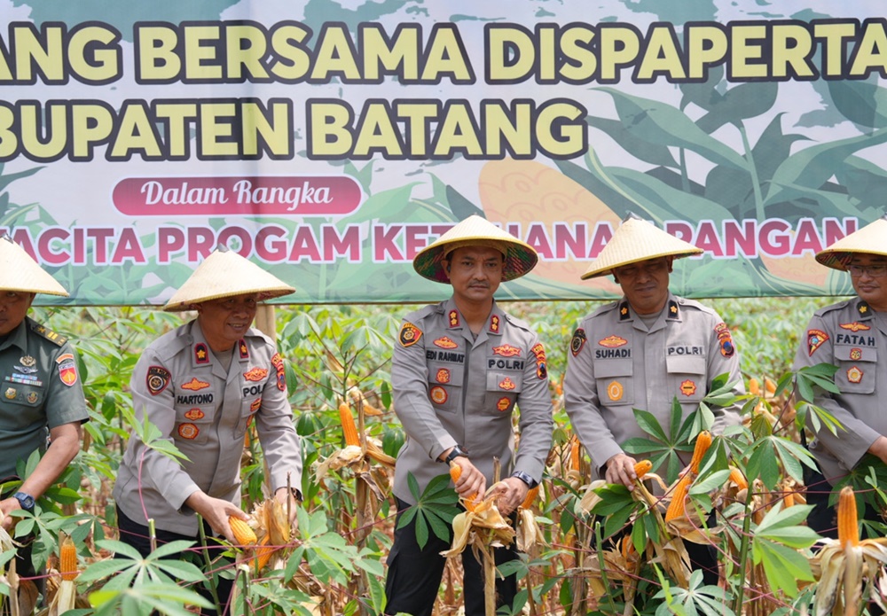 Dukung Program Ketahanan Pangan, Polres Batang Panen Raya Jagung
