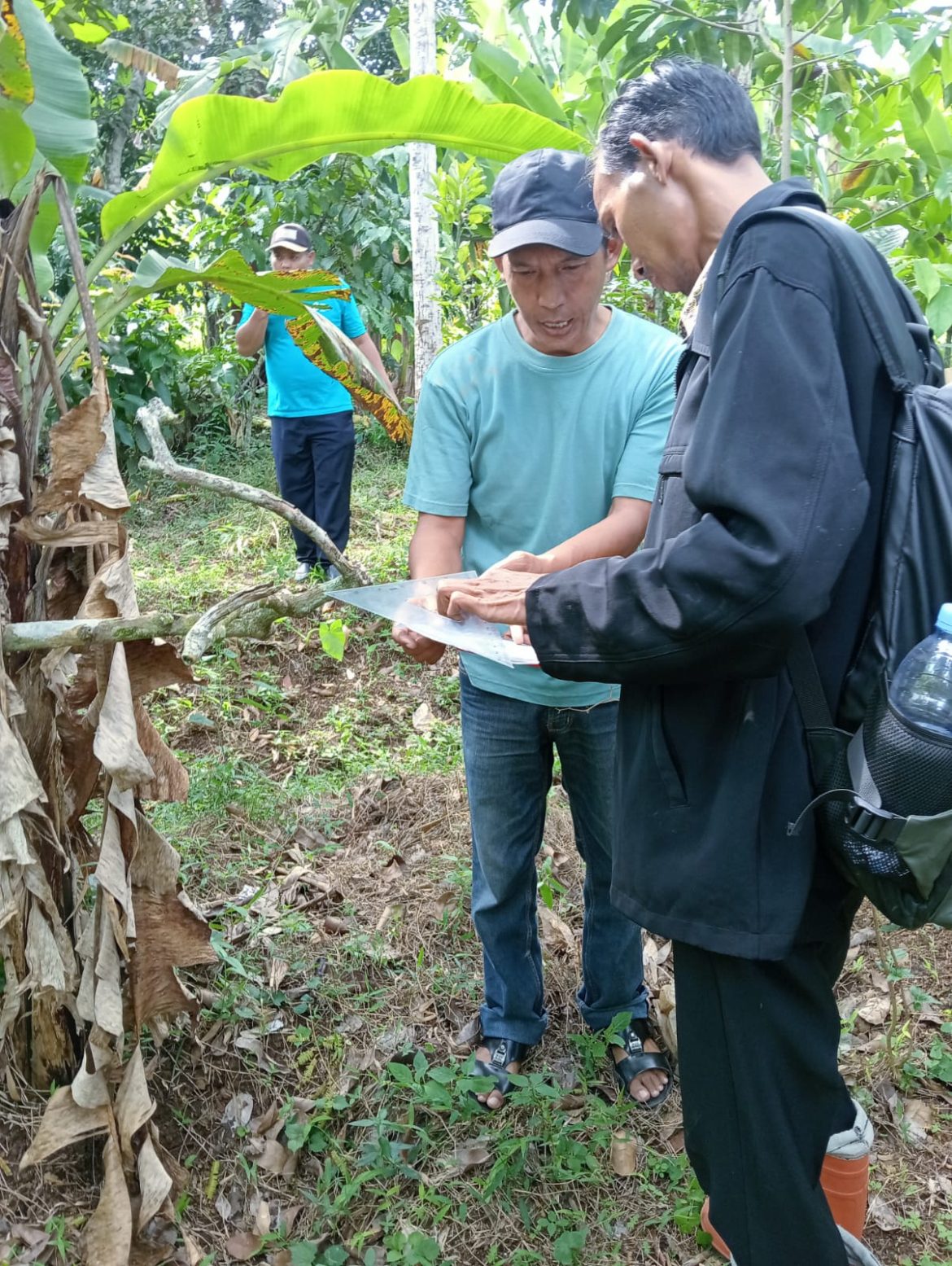 Pengukuran Rutin di Desa Japan Kudus, Petugas Lapangan Lakukan Koordinasi Peningkatan Kualitas Data K4