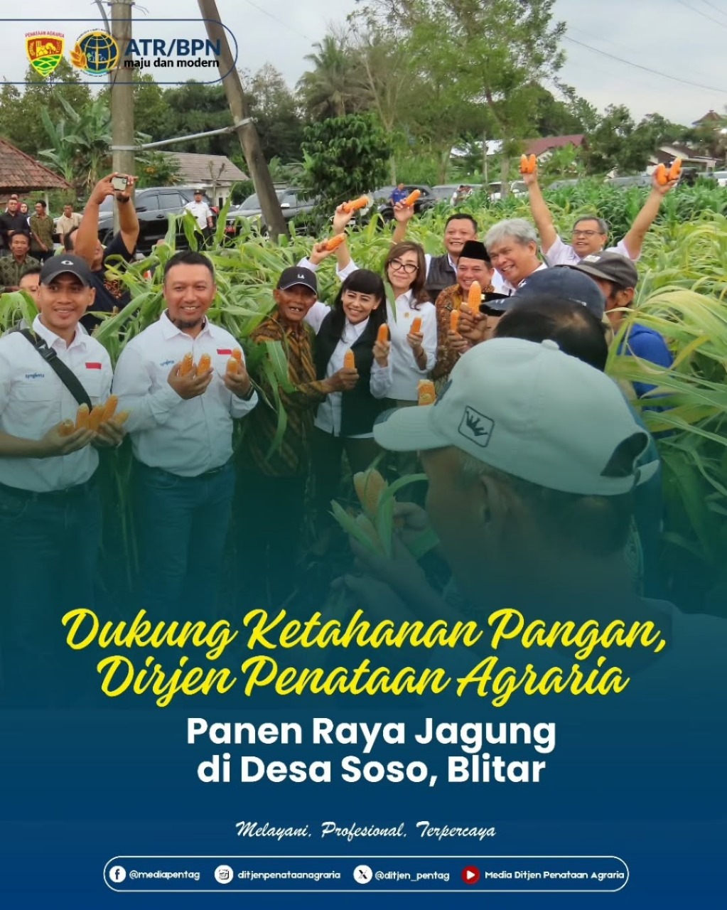Dukung Ketahanan Pangan, Dirjen Penataan Agraria Panen Raya Jagung di Desa Soso, Blitar