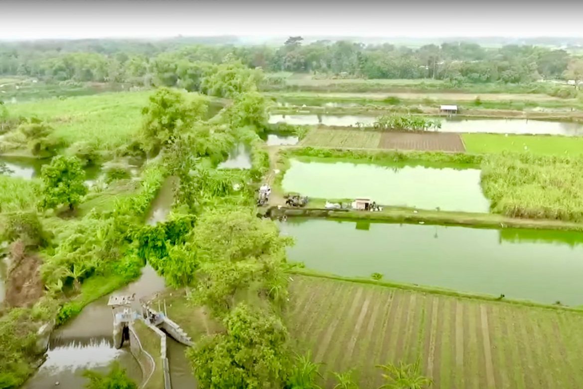 Mengenal Desa Rejoagung, Potensi Desa Meningkat Setelah Program Penataan Akses Reforma Agraria