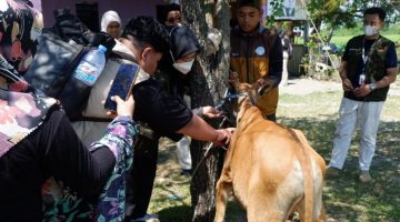 HIMAKAHA Universitas Hasanuddin Gelar Pengabdian Masyarakat “Bakti Veteriner Vol. II” di Desa Baruga, Maros