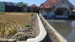 *Pemkab Tasikmalaya Bangun Irigasi DI. Sero Jayaratu Senilai Rp279 Juta, Petani Sariwangi Sambut Positif*

Tasikmalaya, 26 juli 2026 – Upaya peningkatan produktivitas pertanian di Kabupaten Tasikmalaya terus digenjot. Pemerintah Daerah melalui Dinas Pekerjaan Umum, Tata Ruang, Perumahan Rakyat & Kawasan Permukiman & Lingkungan Hidup (DPUTRPKPLH) resmi memulai pembangunan Pengembangan dan Pengelolaan Sistem Irigasi Primer dan Sekunder DI. Sero*.

Proyek tersebut berlokasi di Desa Jayaratu, Kecamatan Sariwangi* dengan nilai kontrak *Rp279.539.000* yang bersumber dari APBD Tahun Anggaran 2026*. Kegiatan ini mulai dikerjakan sejak *01 Juli 2026* oleh pelaksana CV. Wiratama Cahaya Perkasa* dengan waktu pelaksanaan 90 hari kalender, sesuai Nomor SPK 600.1.4.2/4694/DPUTRLH/2026.

Ketua DPC Asosiasi Keluarga Pers Indonesia (AKPERSI) Kabupaten Tasikmalaya, Indra C. ILJ*, mengapresiasi langkah Pemkab yang fokus pada pembangunan infrastruktur pertanian berskala kecil di bawah 1000 Ha.

"Pembangunan irigasi ini sangat strategis. Dengan sistem irigasi yang baik, petani di Desa Jayaratu bisa lebih teratur dalam pengairan sawah dan hasil panen pun dipastikan meningkat. Ini bentuk nyata pemerintah hadir untuk kesejahteraan petani," ujar Indra.

Warga Desa Jayaratu menyambut baik proyek ini. Selama ini saluran irigasi yang ada sudah tidak memadai sehingga sering menghambat masa tanam. Dengan adanya DI. Sero, diharapkan area persawahan di Sariwangi bisa lebih produktif dan mendukung ketahanan pangan daerah.

AKPERSI Kabupaten Tasikmalaya berharap proyek ini dapat dikerjakan sesuai waktu dan spesifikasi, serta tepat sasaran. Pihaknya juga siap mengawal dan mempublikasikan setiap program pembangunan agar berjalan transparan dan bermanfaat bagi masyarakat.
REF : INDRA KTUA DPC AKPERSI